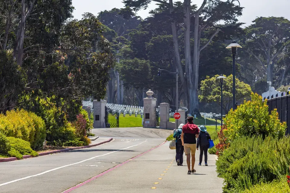 Our Local Expertise in Colma, California — Colma, CA
